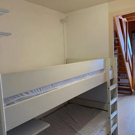 Apartment A Chatel, 6 Pers, Mezzanine, Balcon, 100m Navette, Parking, Animaux Acceptes - Fr-1-198-250 Chatel